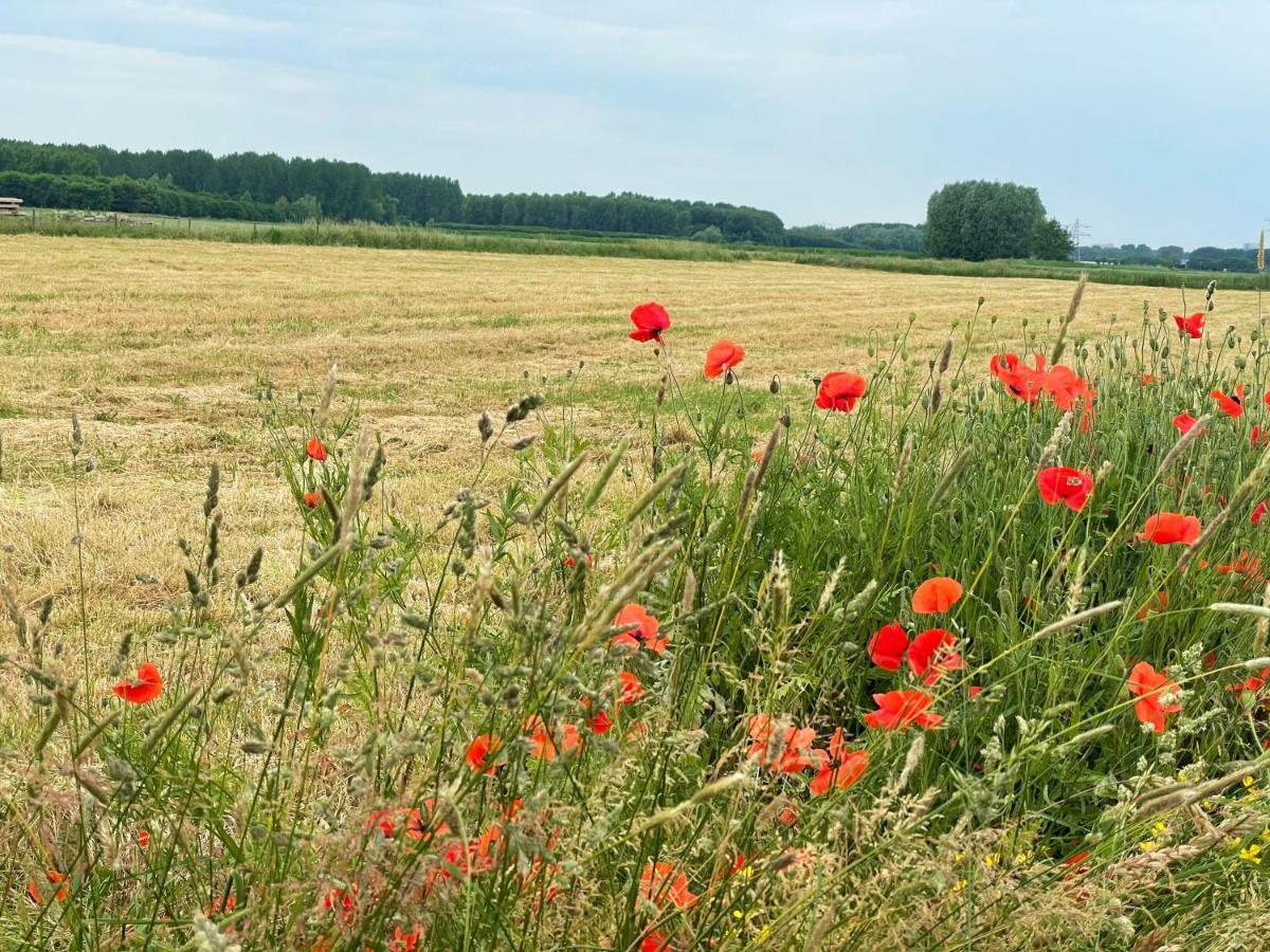 Camping De Vliert Bunnik Esterno foto